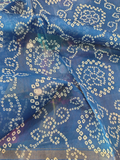 D24A024 Blue Pure Hand Block Printed Chanderi Silk Saree