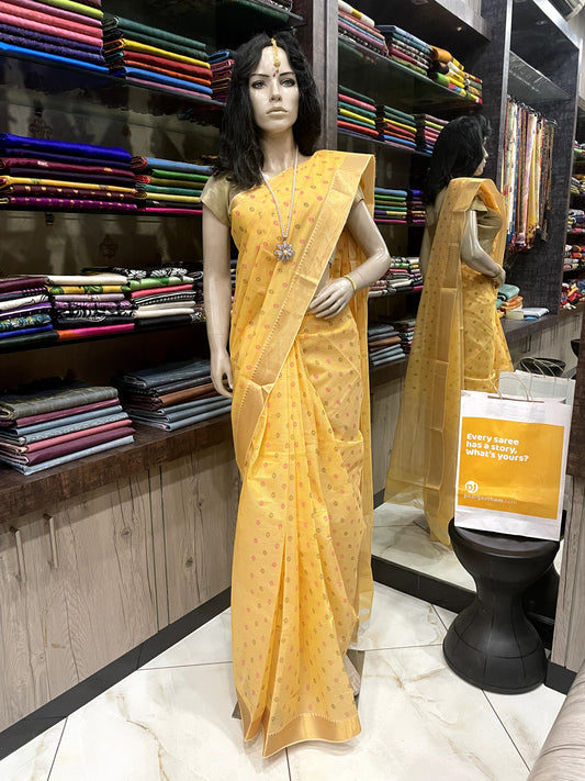 NV24A028 Yellow Gold Pure Handloom Mangalgiri Cotton Saree