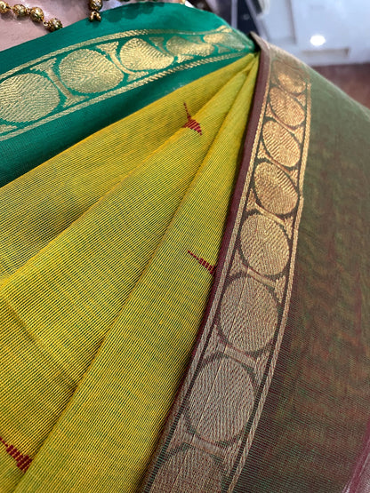 SP24A103 Green Maroon Pure Handloom Kanchi Cotton Saree